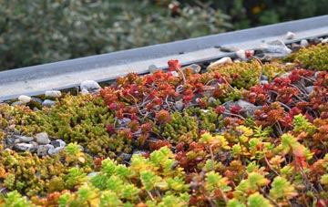 the cost of Solihull Lodge green roof installation